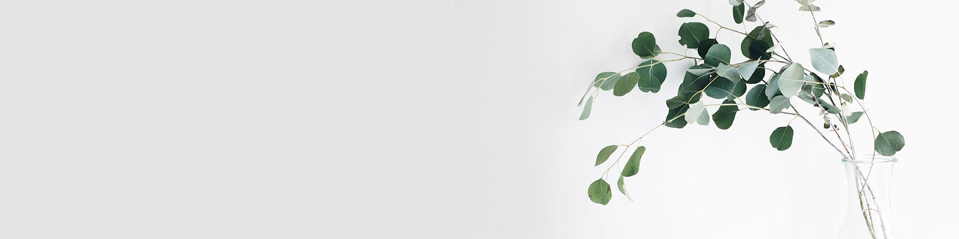 contact_banner