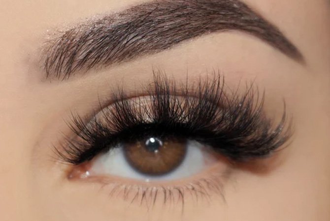 ZBeauty Eyelash Collection